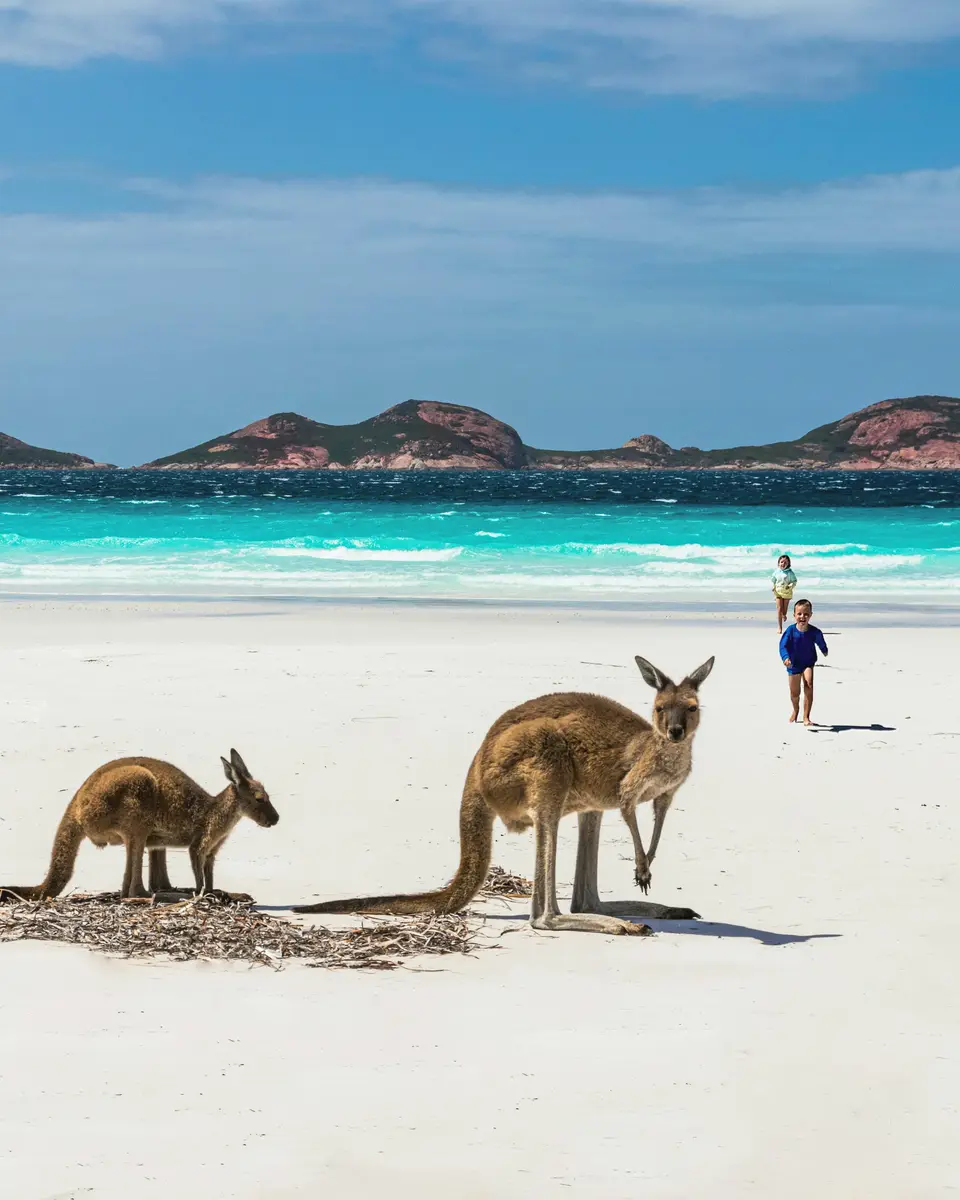 Wildlife or wildlife scene in Australia.