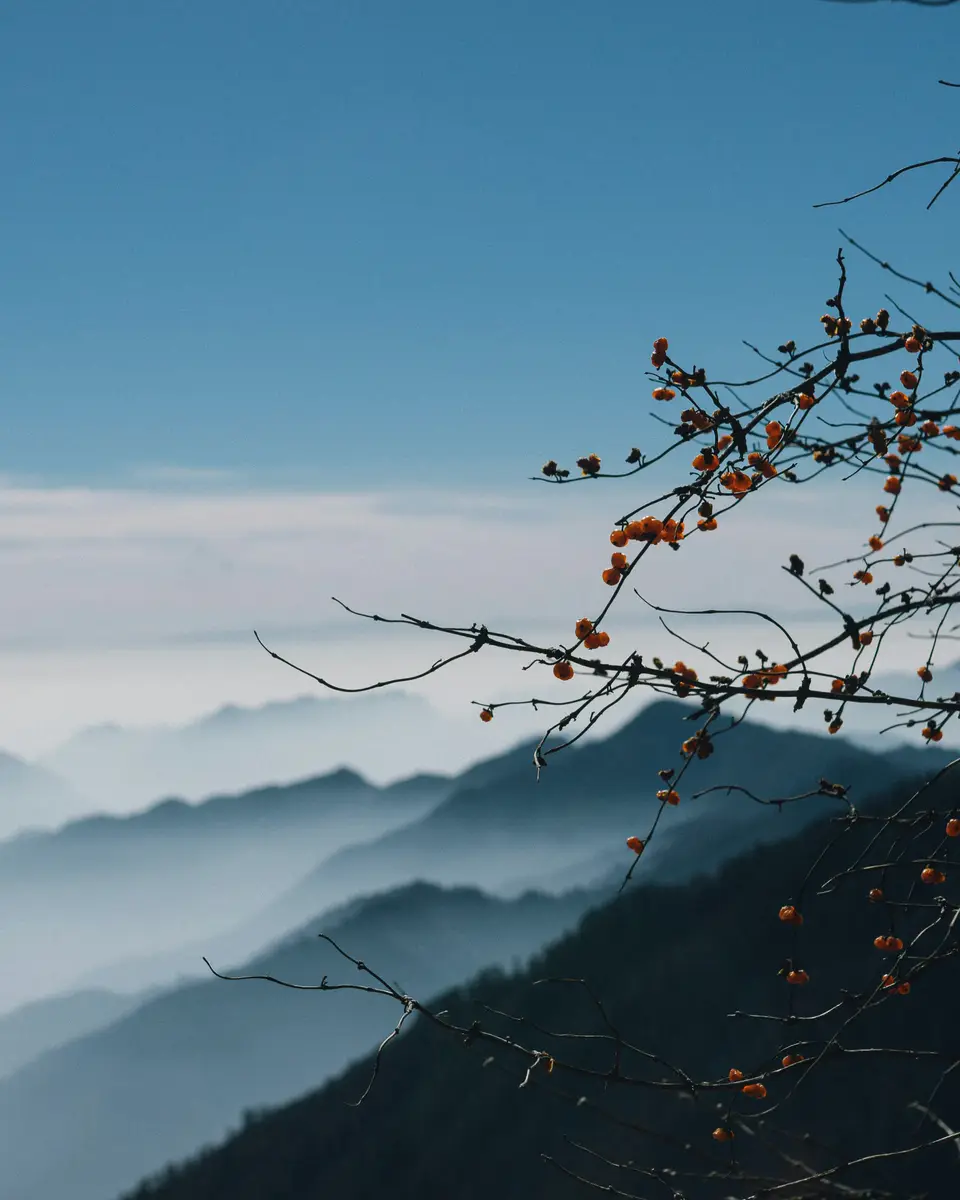 Photo of a natural landscape in China.