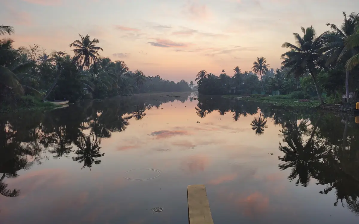 Palm-lined backwater in Kerala with still water reflecting trees and a pastel sky.