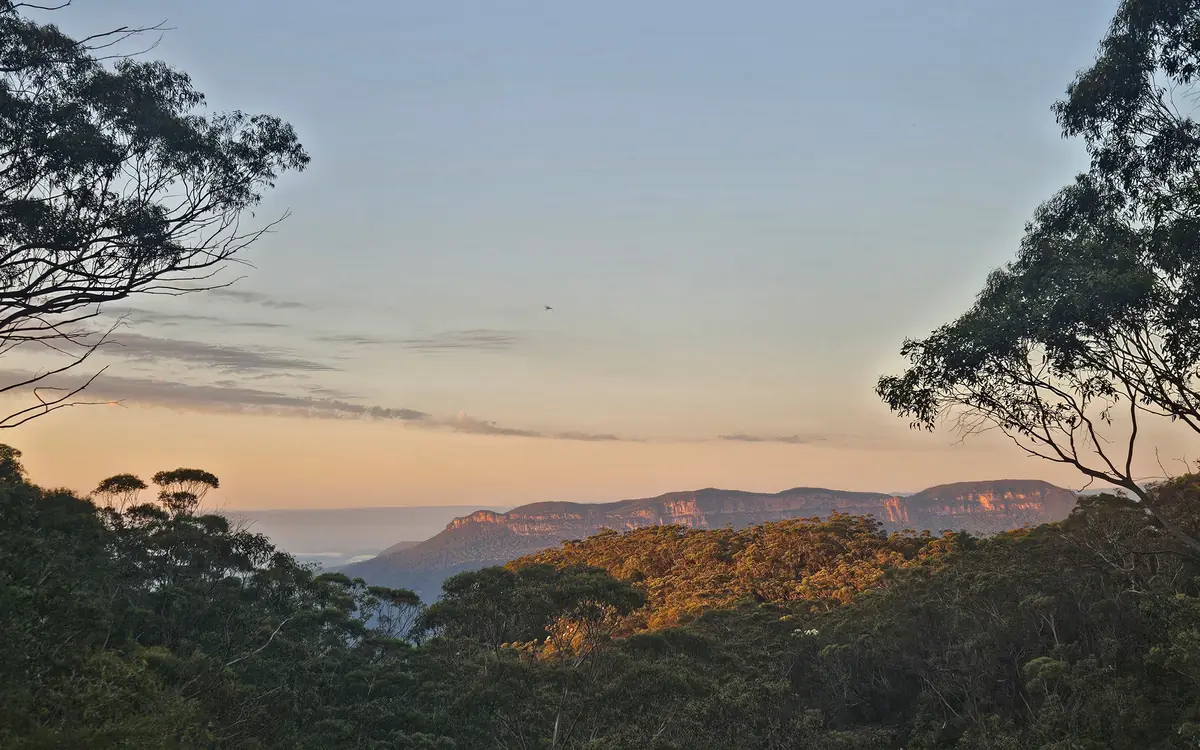 Trees framing a hazy sandstone escarpment and forested valley in New South Wales.