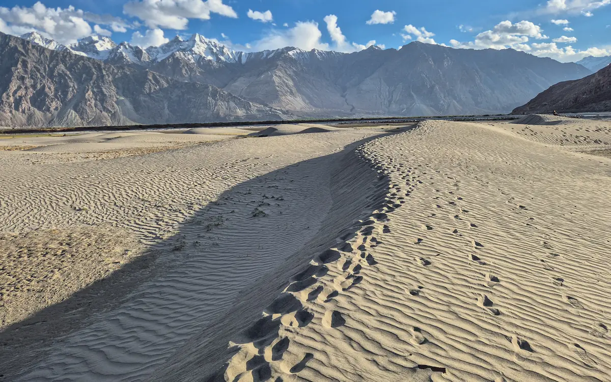 Sand dunes with ripples and footprints below distant snow-touched mountains in Ladakh.