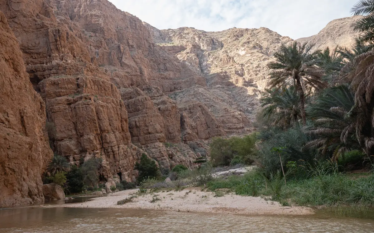Rocky wadi canyon in Oman with palm trees, scrub, and warm canyon walls.
