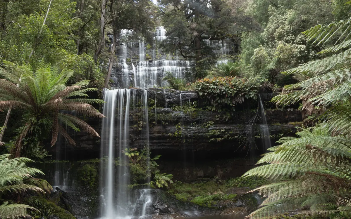 Tiered forest waterfall at Russell Falls.