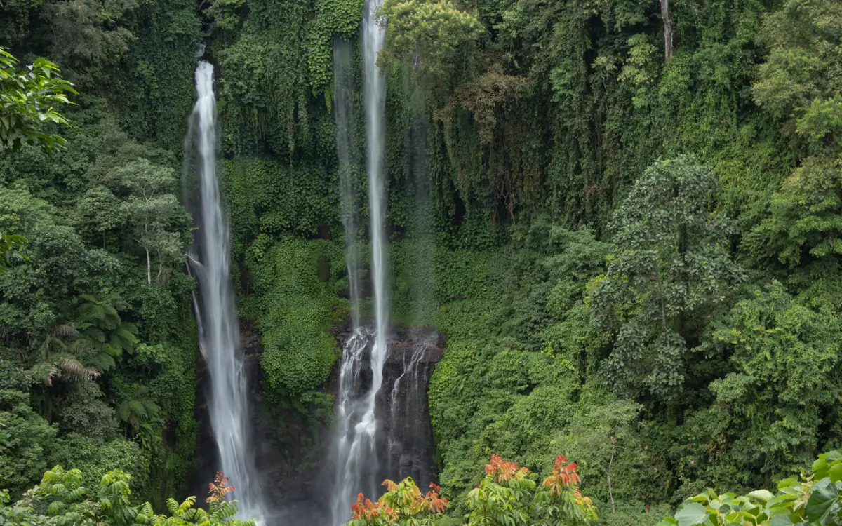 Twin waterfall in tropical forest at Sekumpul Waterfall.