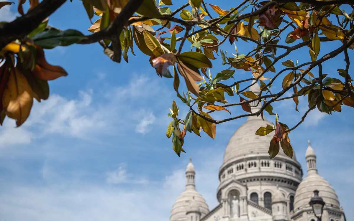 Sacré-Cœur Basilica framed by leaves.