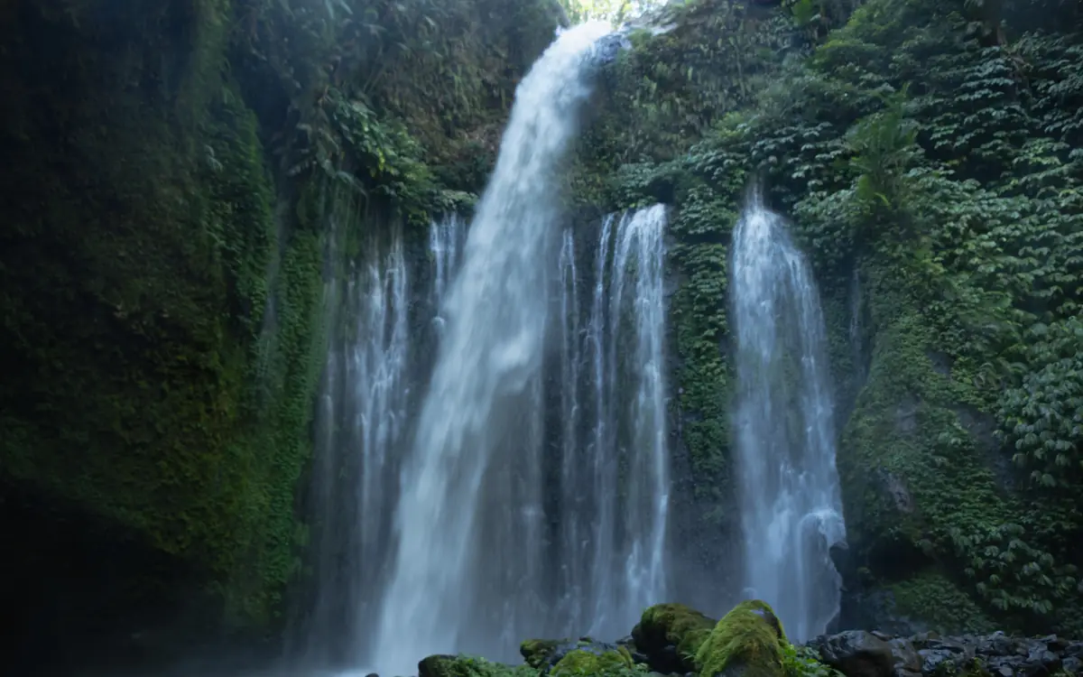Multi-stream waterfall in jungle at Tiu Kelep Waterfall.
