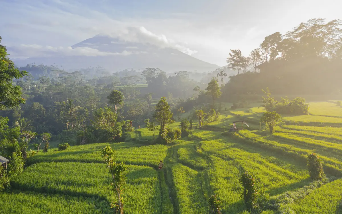Rice terraces on a misty hillside in Bali, with a volcanic mountain faintly visible beyond.