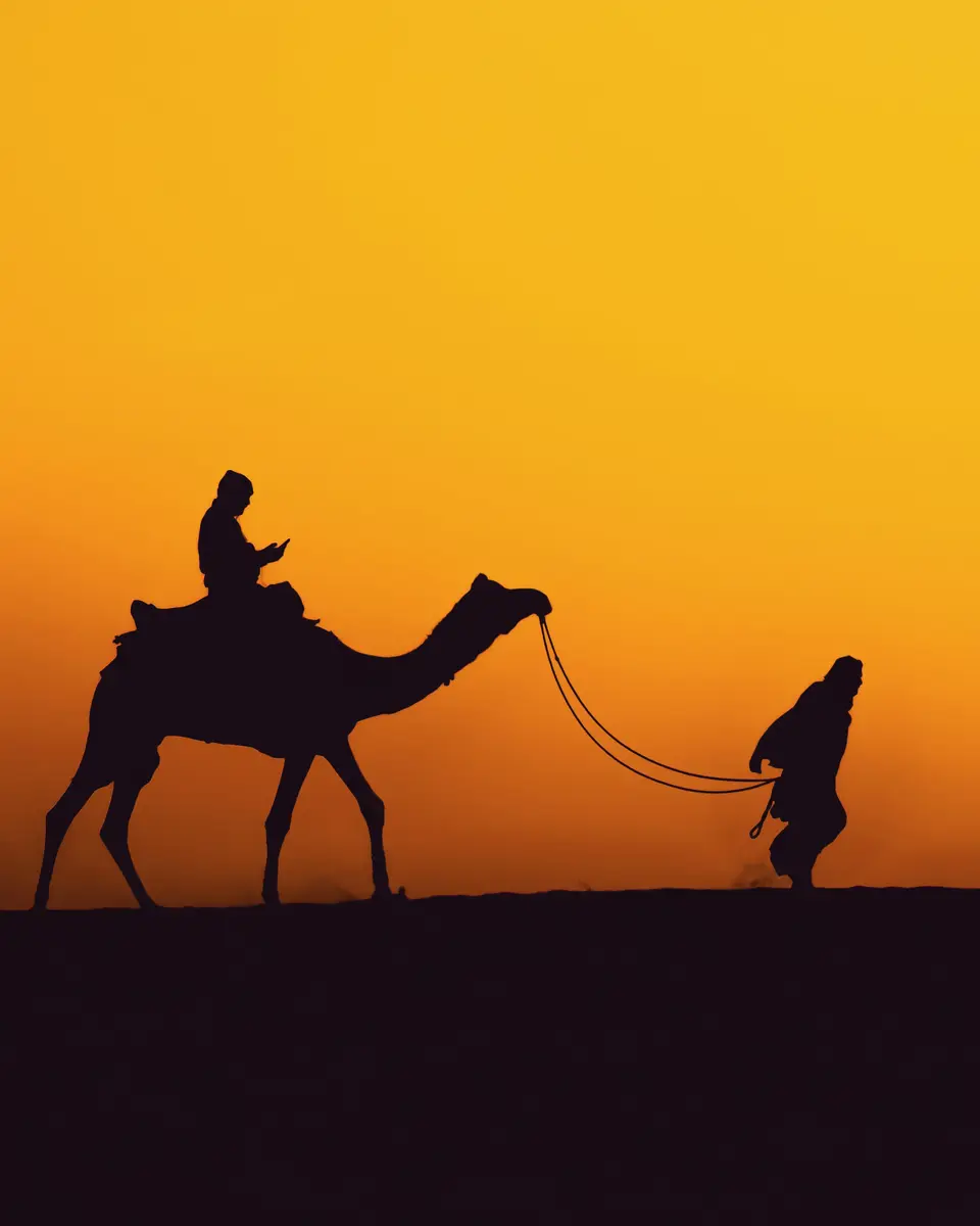 Wildlife or wildlife scene in India.