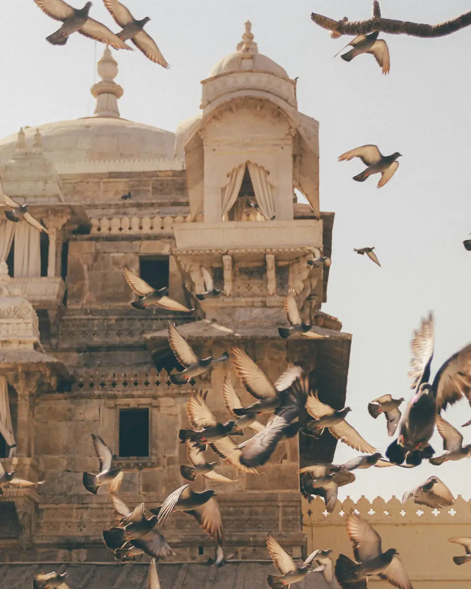 Urban travel scene in India.