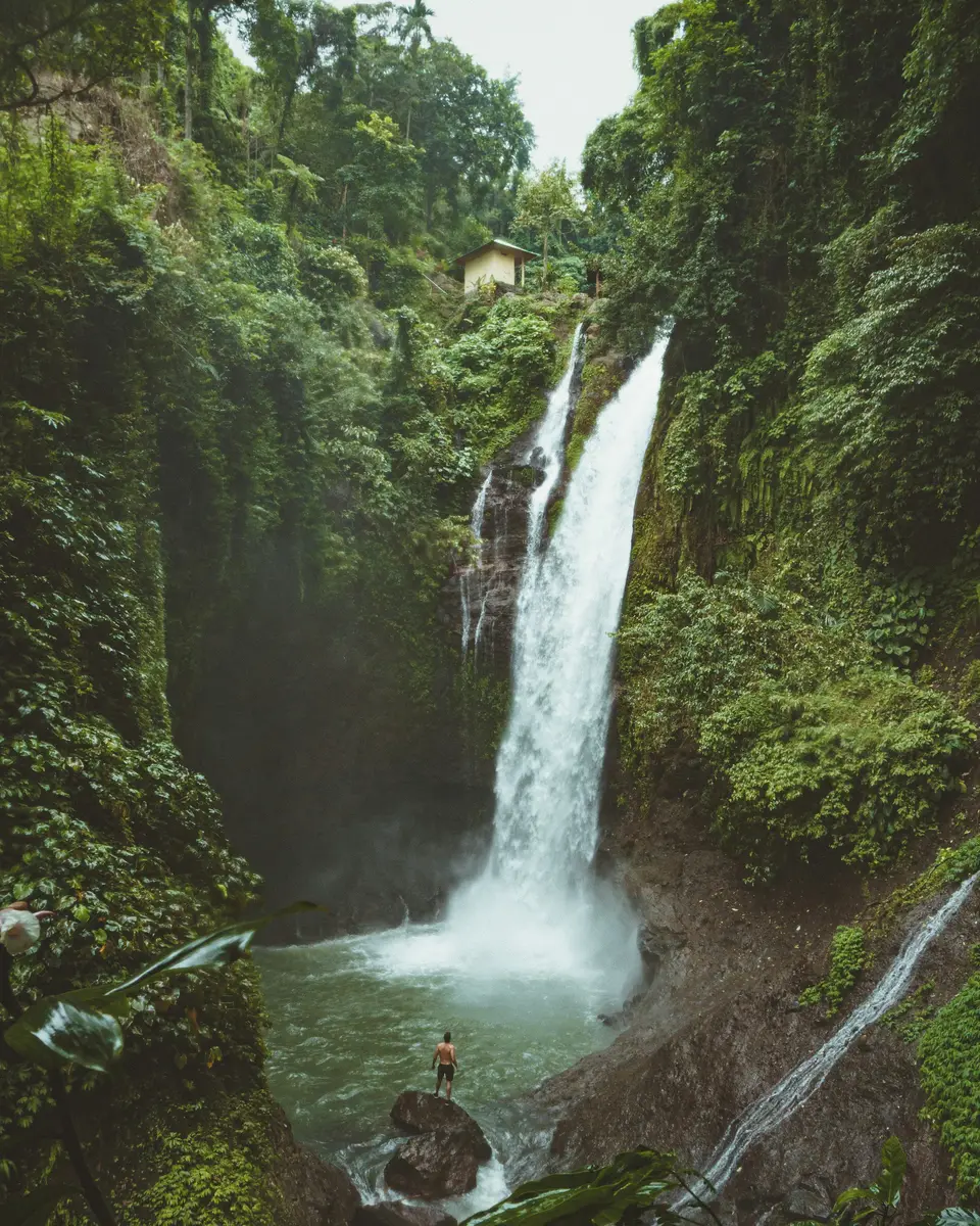 Forest or green landscape in Indonesia.