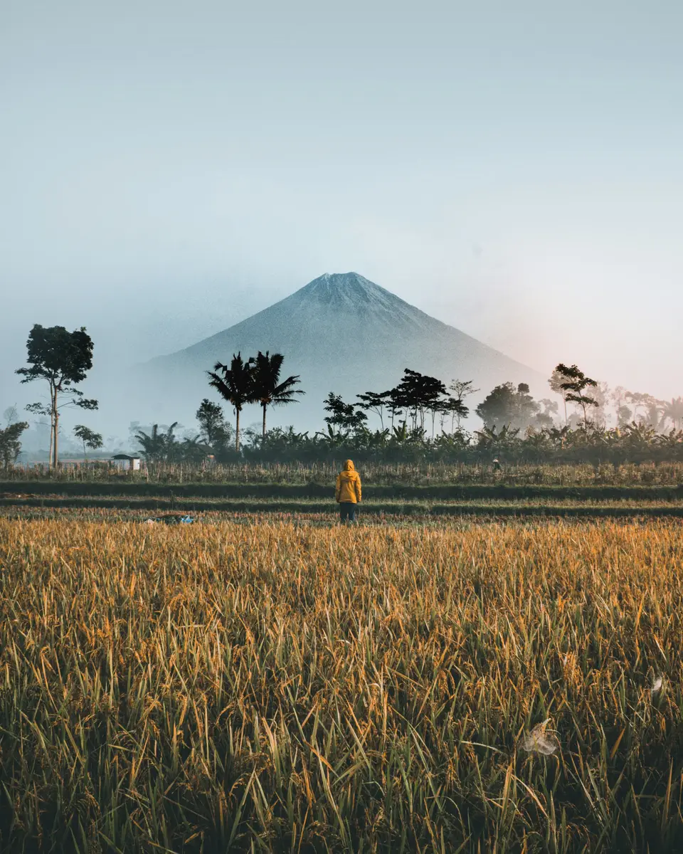 Outdoor mountain landscape in Indonesia.
