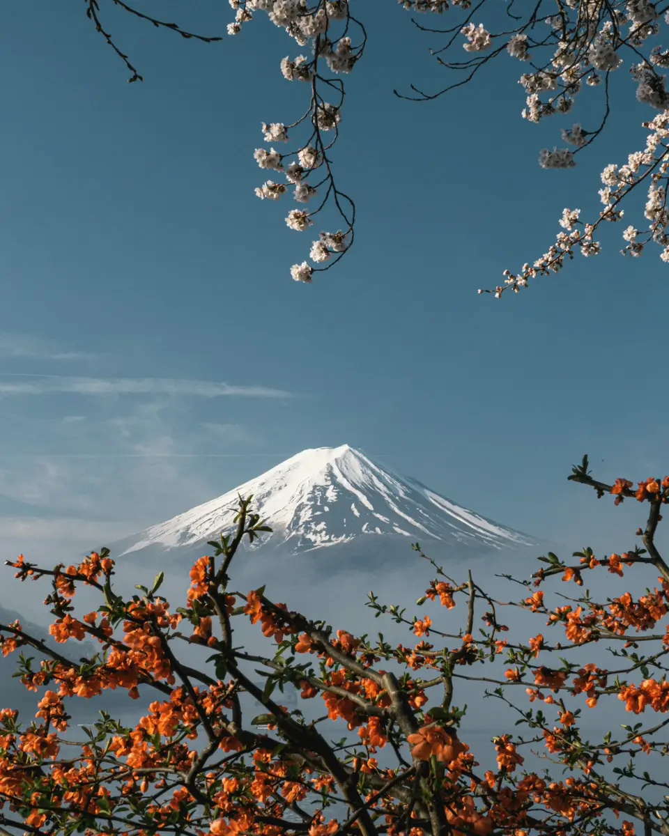 Japan travel scene