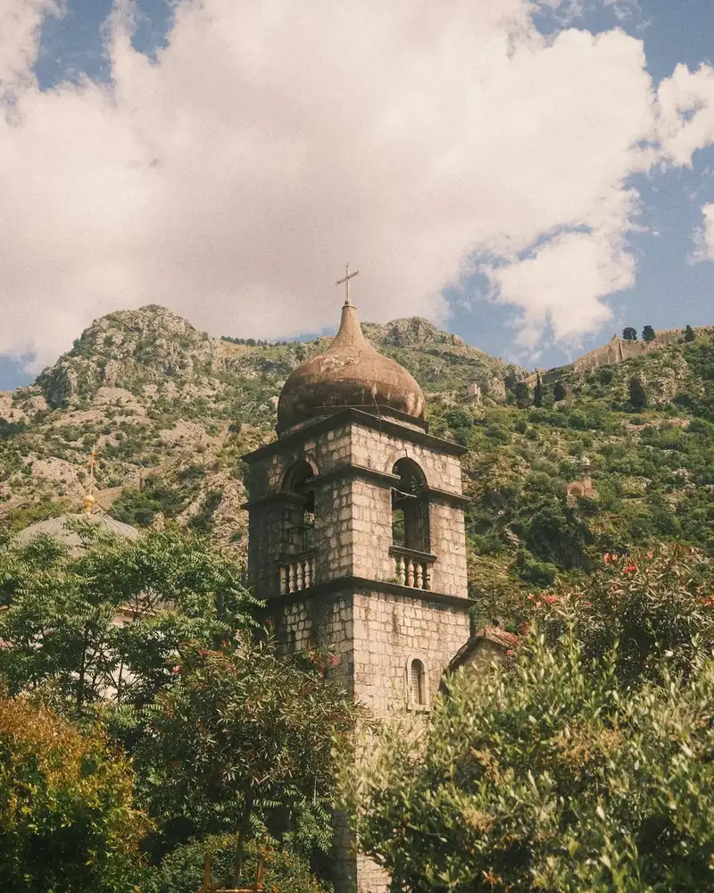 Forest or green landscape in Montenegro.