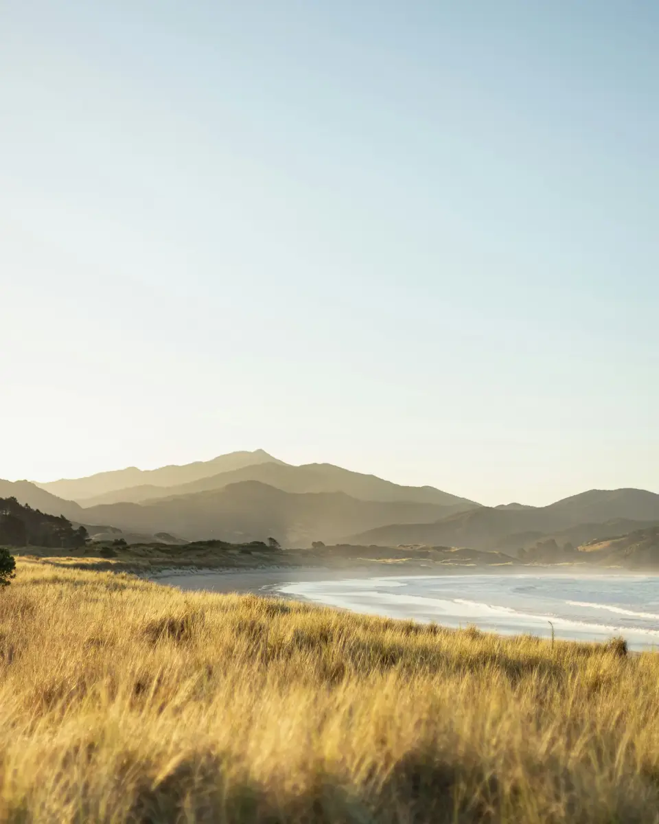 Photo of a beach and shoreline in New Zealand.