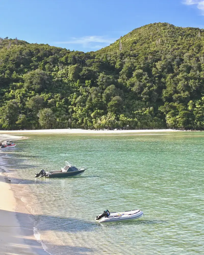 Photo of a beach and shoreline in New Zealand.