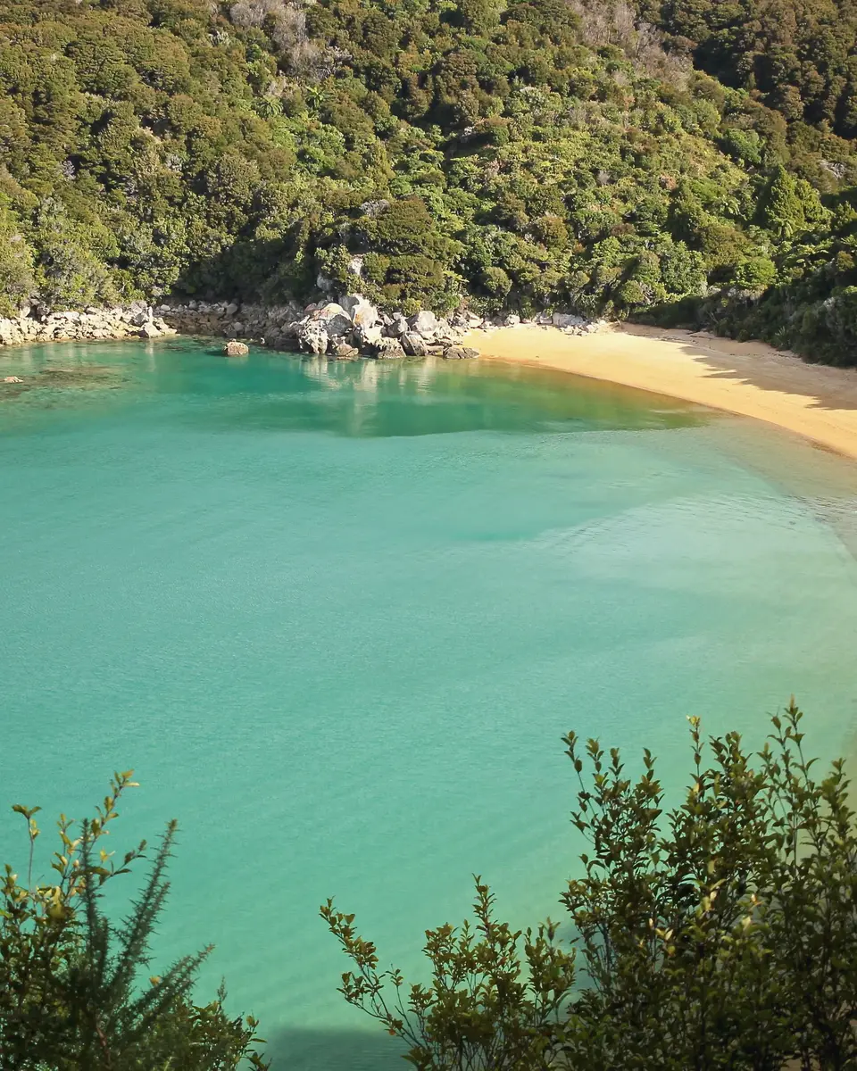 Photo of a beach and shoreline in New Zealand.