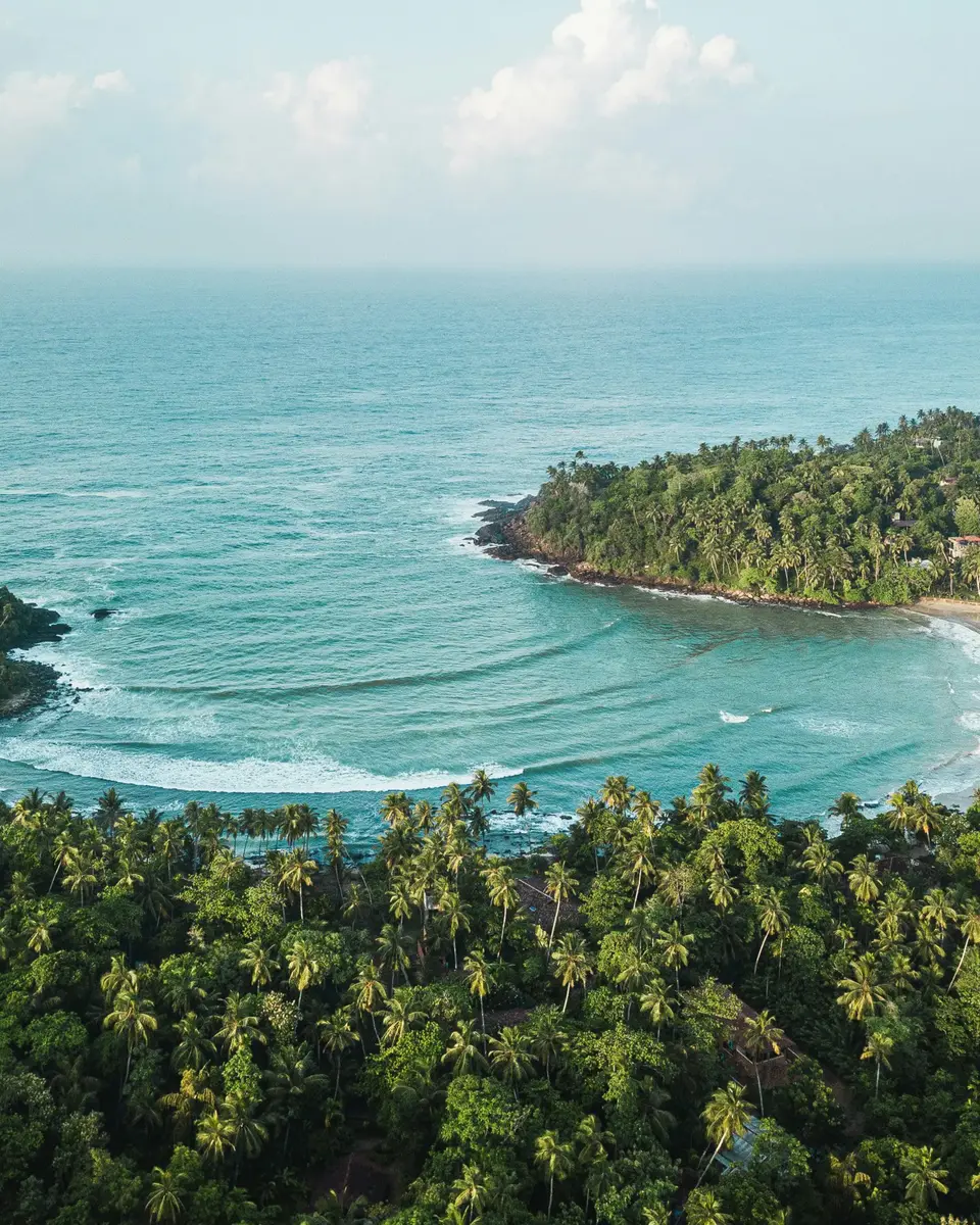 Photo of a beach and shoreline in Sri Lanka.