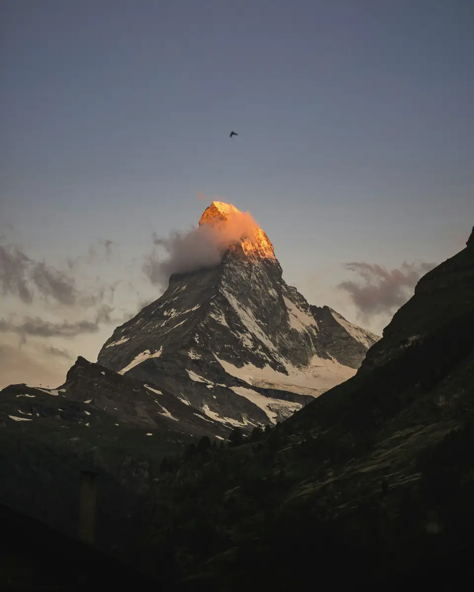 Bird or wildlife scene in Switzerland.