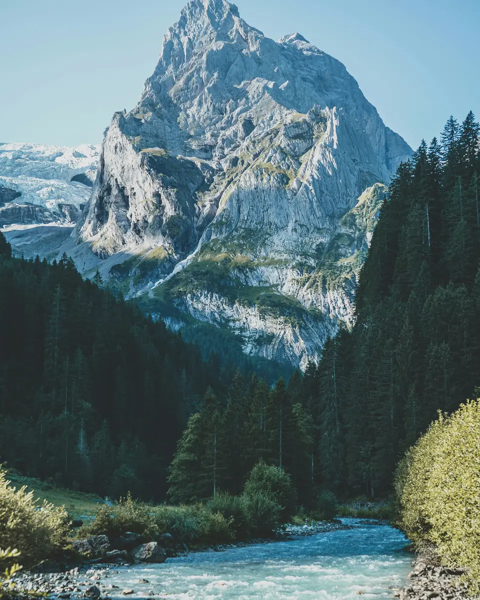 Forest or green landscape in Switzerland.