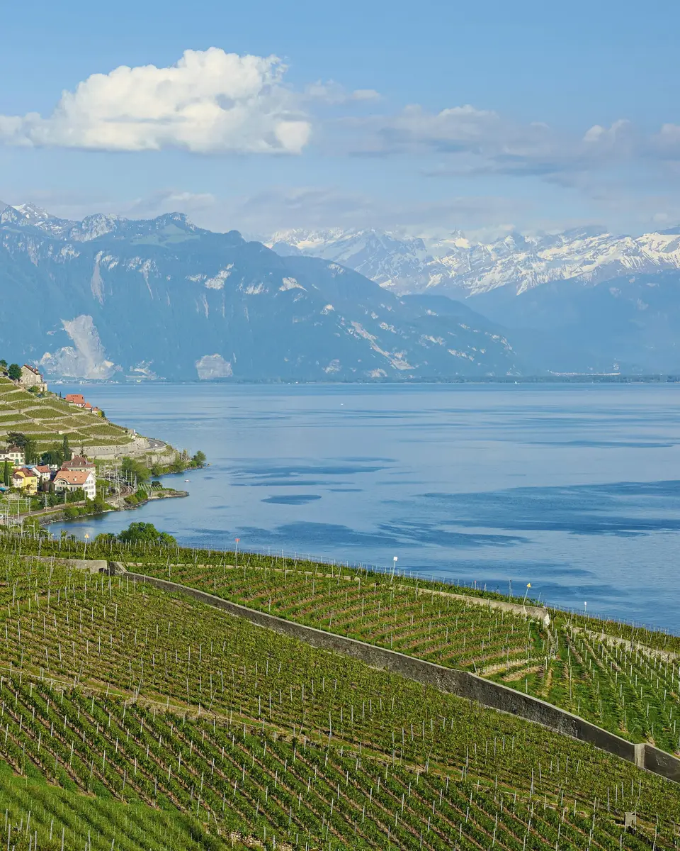 Photo of a mountain or valley landscape in Switzerland.