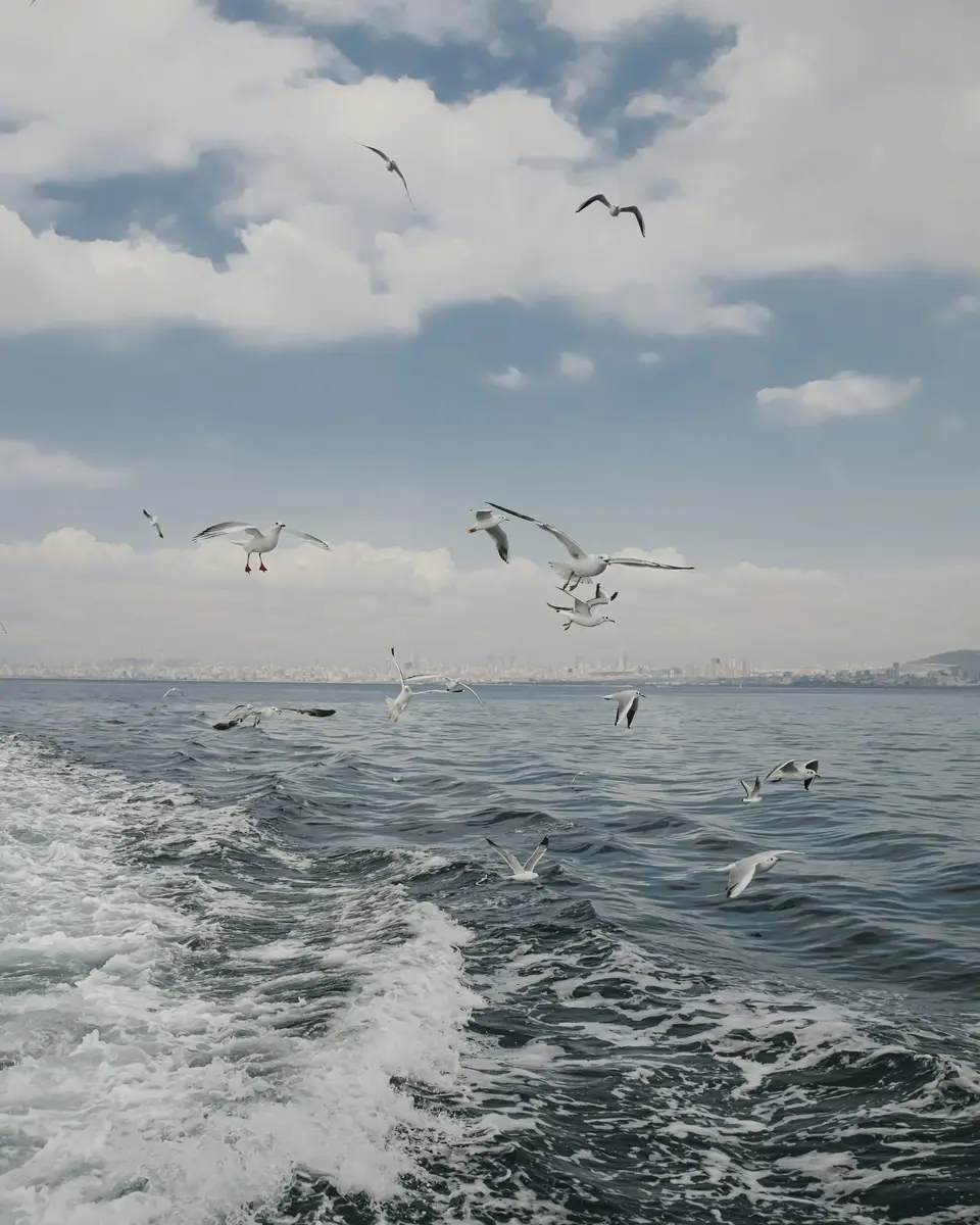 Photo of a coastal landscape in Turkey.