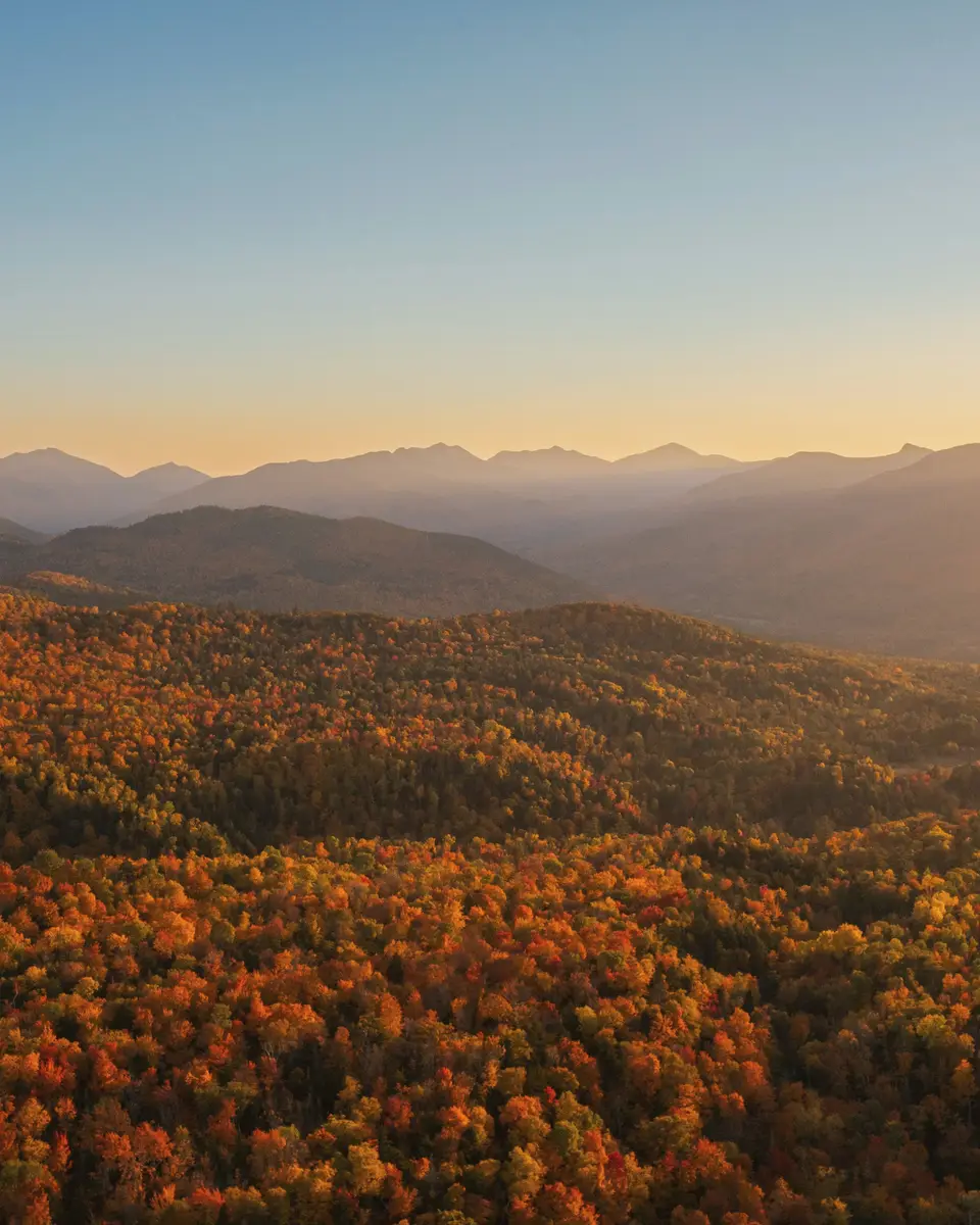 Forest or green landscape in United States.
