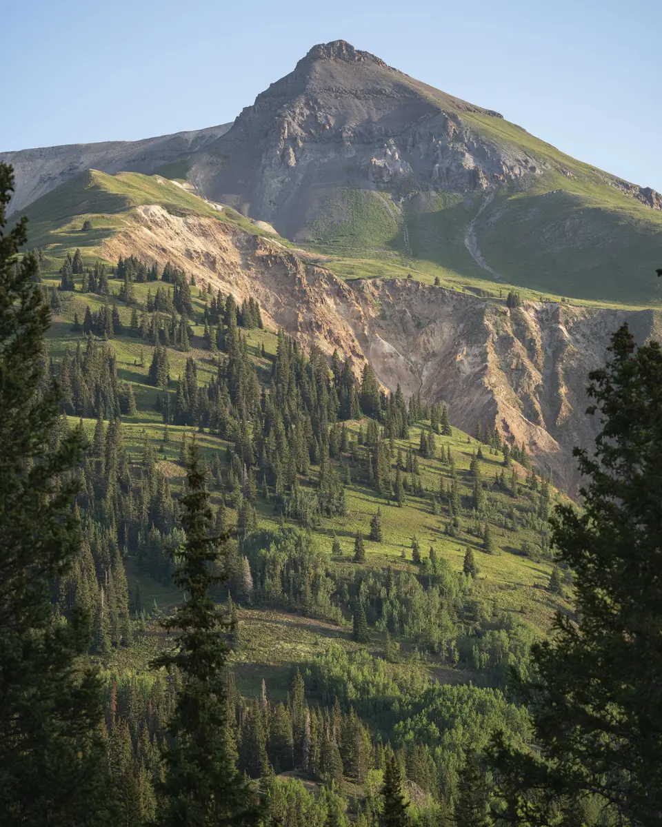 Forest or green landscape in United States.