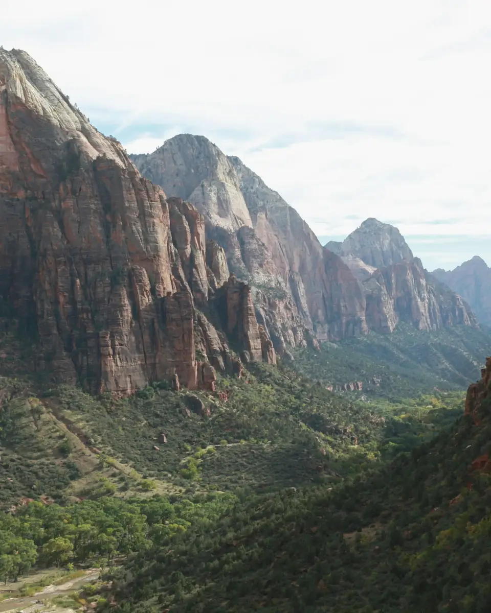 Forest or green landscape in United States.